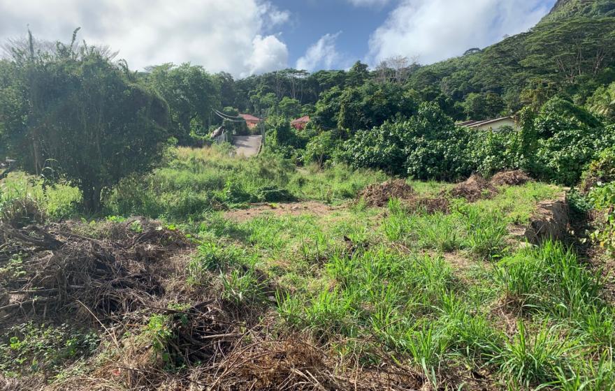 Land Sale Mountain view Mahe, Anse La Mouche Flat land ready to build ...